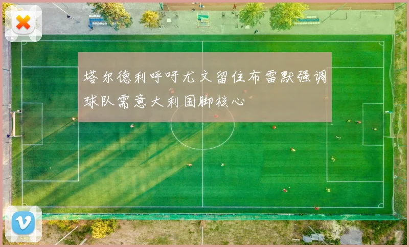 塔尔德利呼吁尤文留住布雷默强调球队需意大利国脚核心