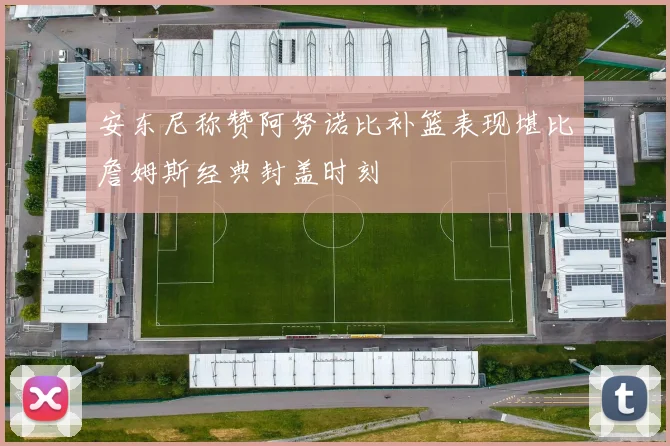 安东尼称赞阿努诺比补篮表现堪比詹姆斯经典封盖时刻