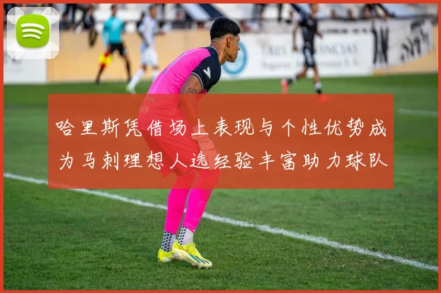 哈里斯凭借场上表现与个性优势成为马刺理想人选经验丰富助力球队发展